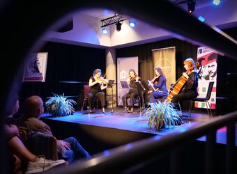 Mosty literatury na smyczkach